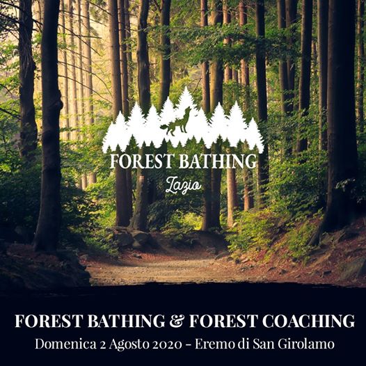 eremo san girolamo forest bathing