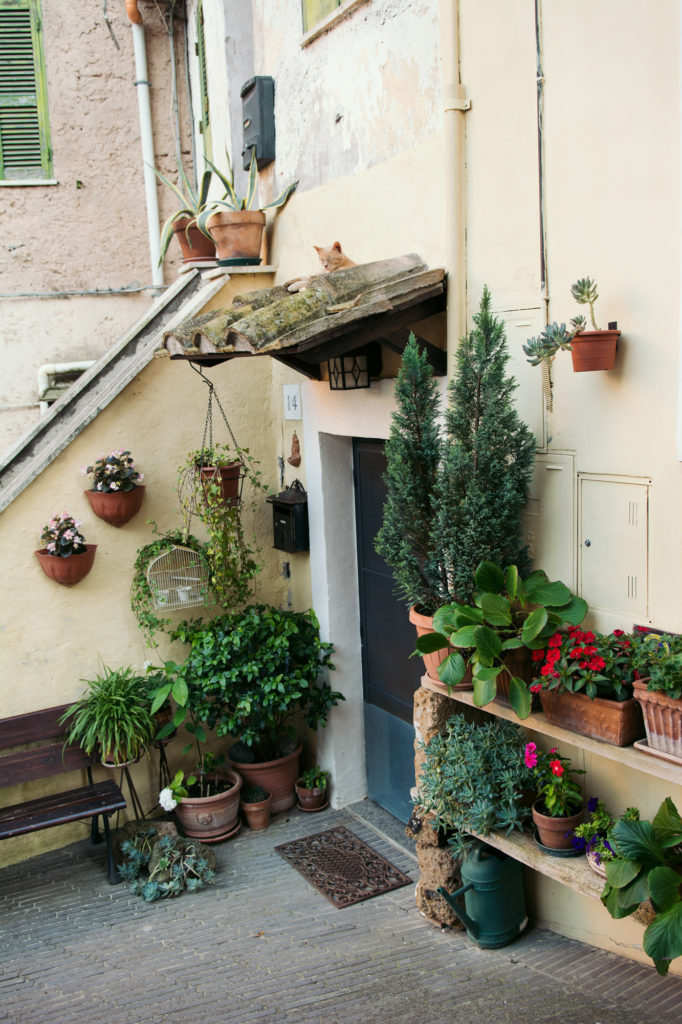 gatto appisolato su un tetto del borgo di Corchiano