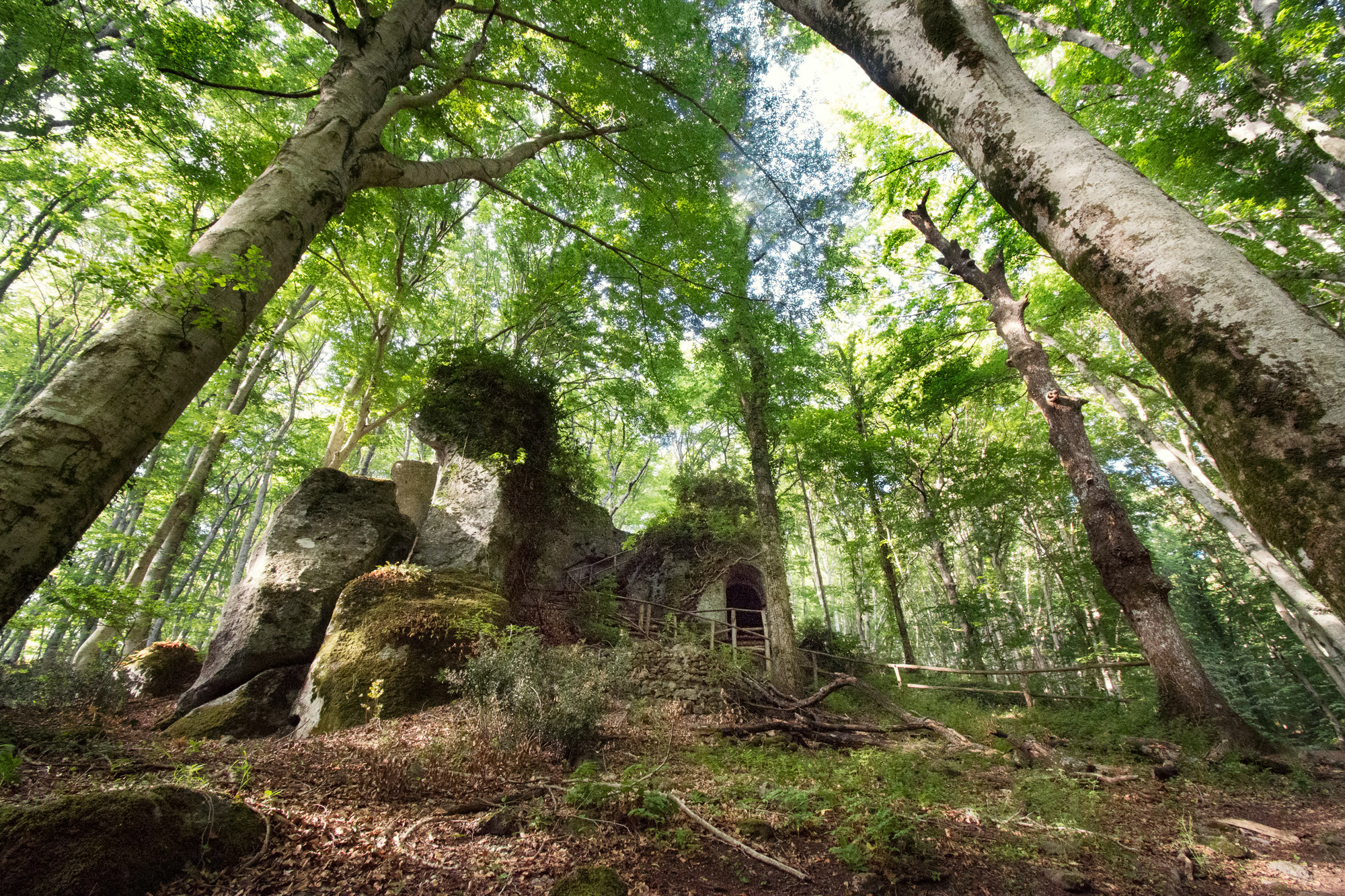 eremo di san girolamo sul monte fogliano