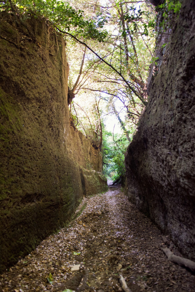 Il Borgo Di Corchiano E Visita Alle Forre - Storyteller Della Tuscia